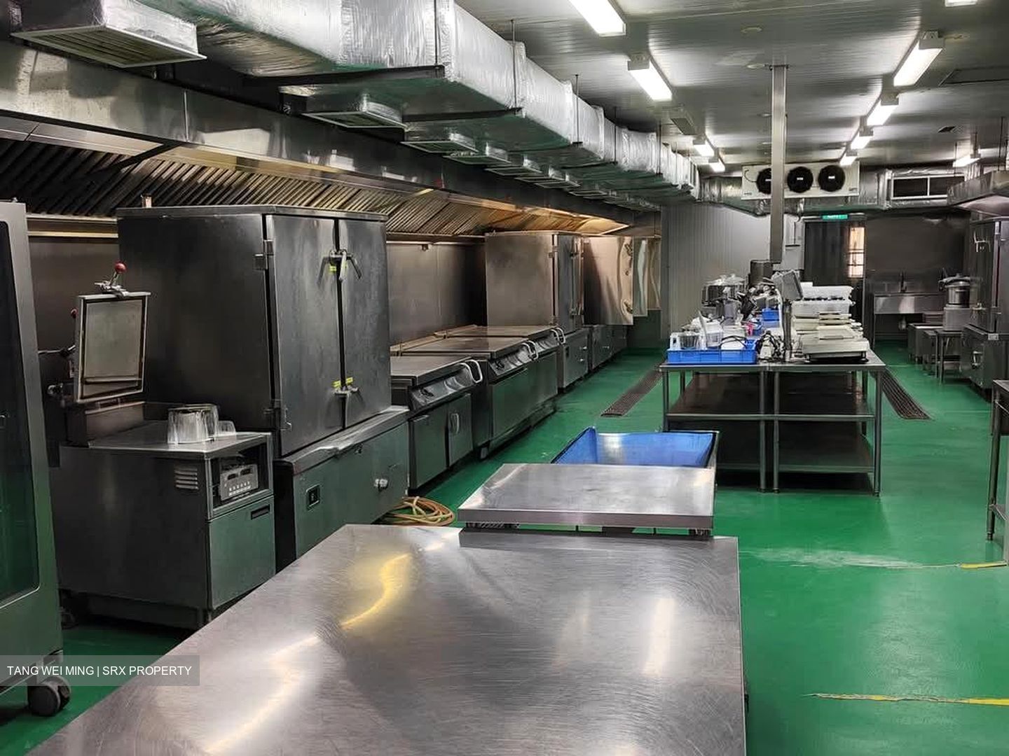 Woodlands Terrace (D25), Factory #571666611